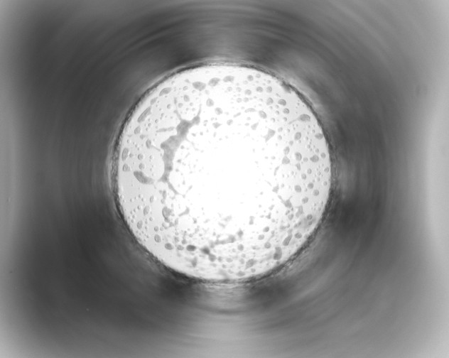 X0000088730856200706212038