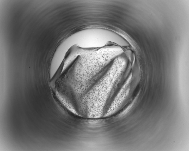 X0000088730857200706212038