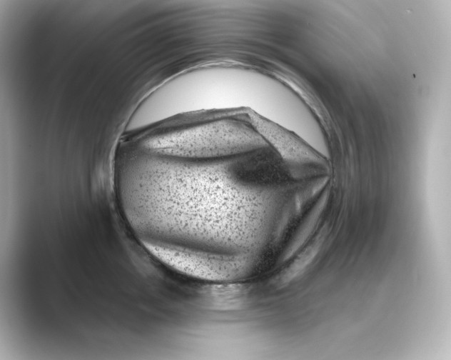 X0000088730858200706212038