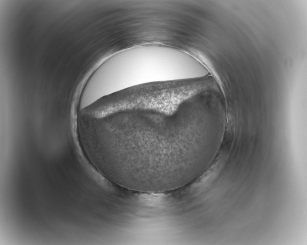 X0000088730859200706212038