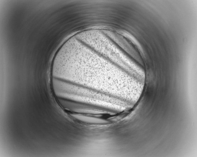 X0000088730860200706212038