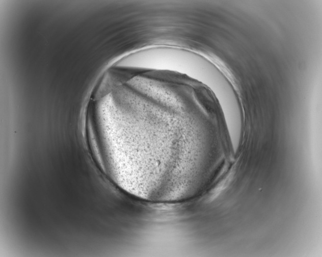 X0000088730862200706212038