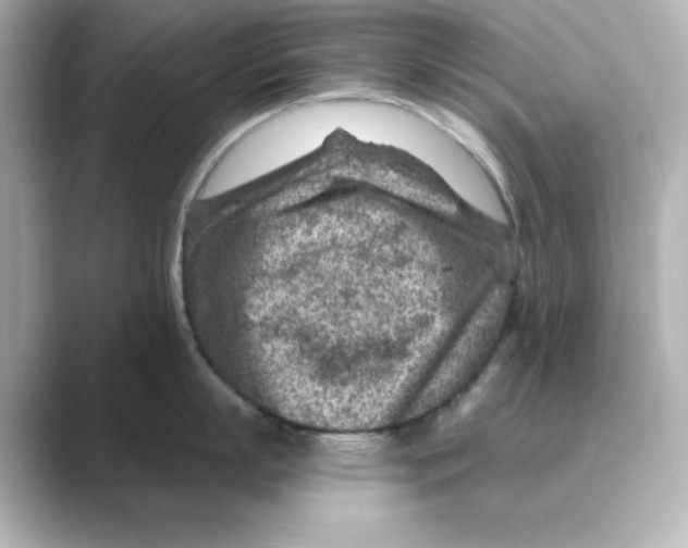 X0000088730863200706212038