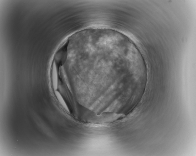 X0000088730864200706212038