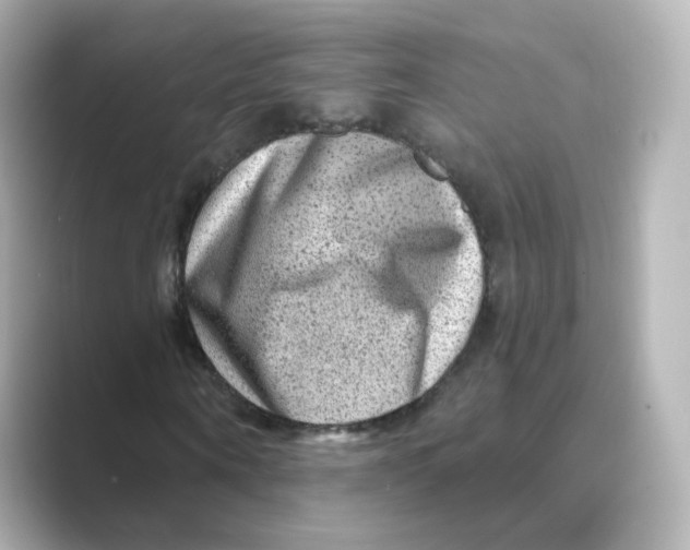 X0000088730866200706212037