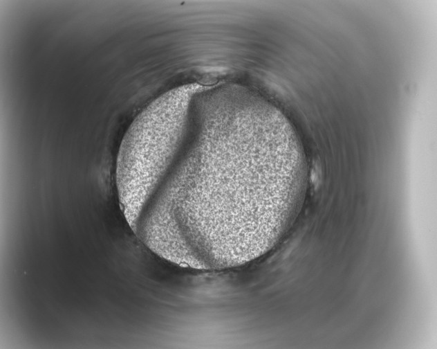 X0000088730867200706212037