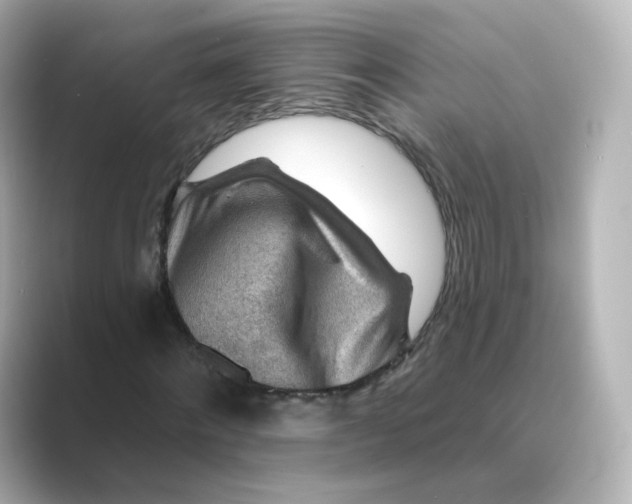 X0000088730868200706212037