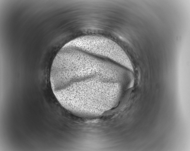 X0000088730870200706212037