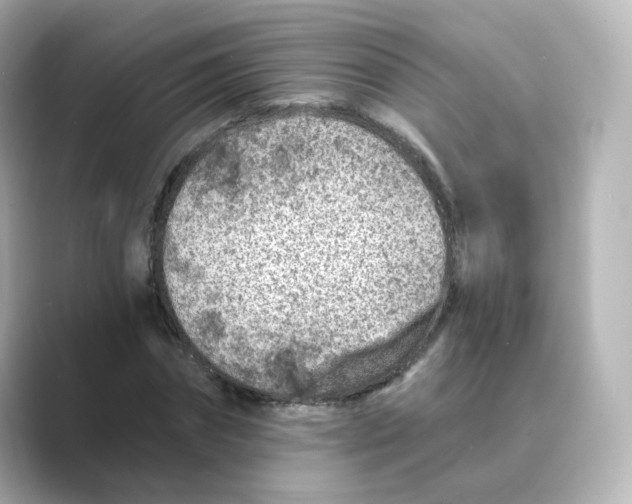 X0000088730874200706212037