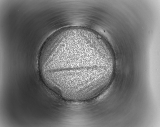 X0000088730875200706212037