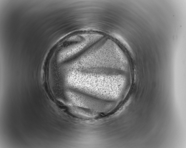 X0000088730876200706212037