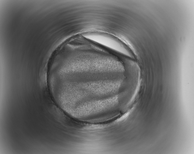 X0000088730877200706212037