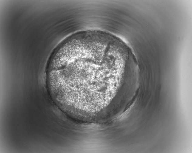 X0000088730879200706212037