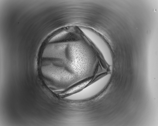 X0000088730880200706212037