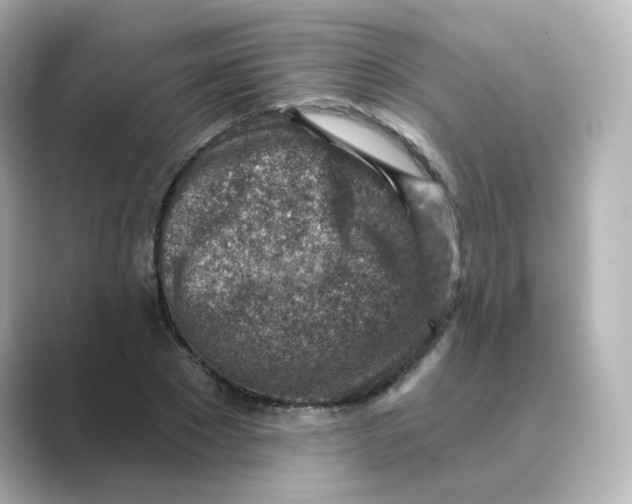 X0000088730881200706212037