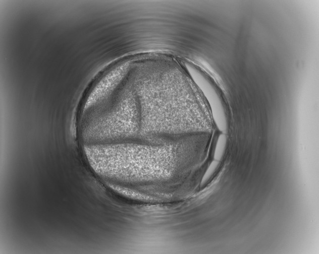 X0000088730883200706212037