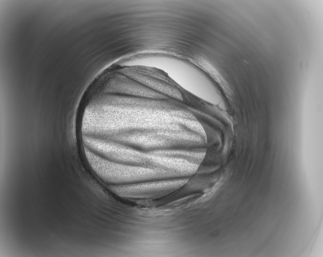 X0000088730884200706212037