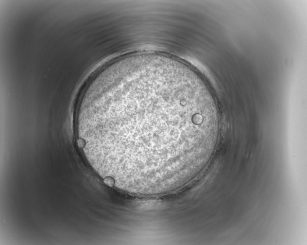 X0000088730886200706212037