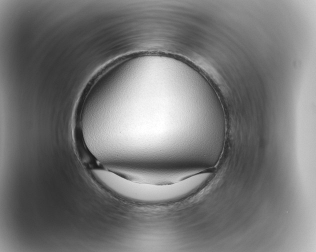 X0000088730888200706212037