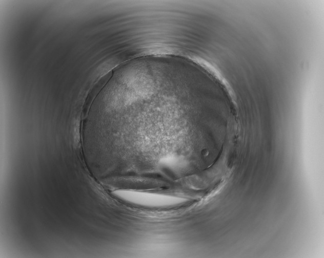 X0000088730889200706212037