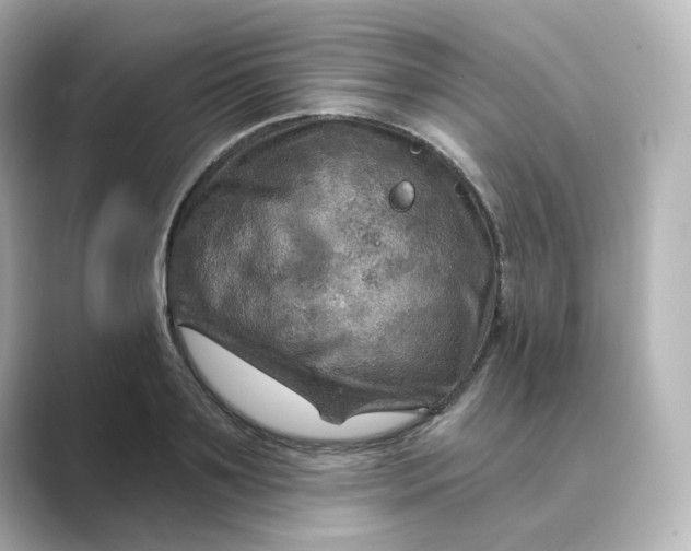 X0000088730891200706212037