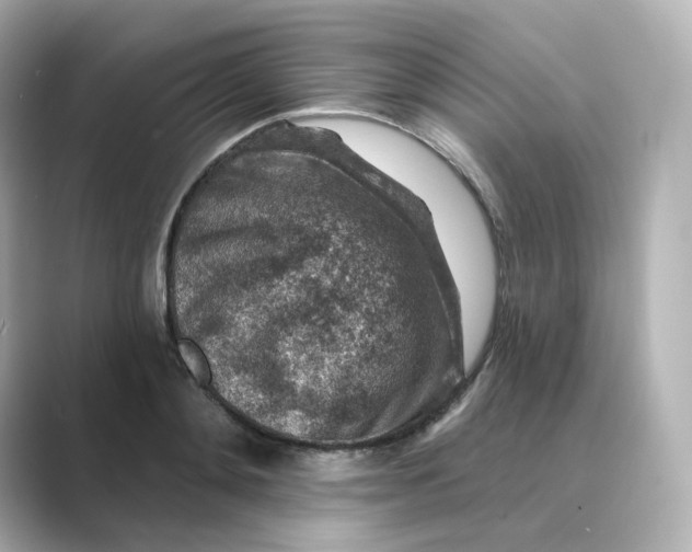 X0000088730892200706212037