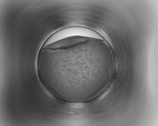 X0000088730893200706212037