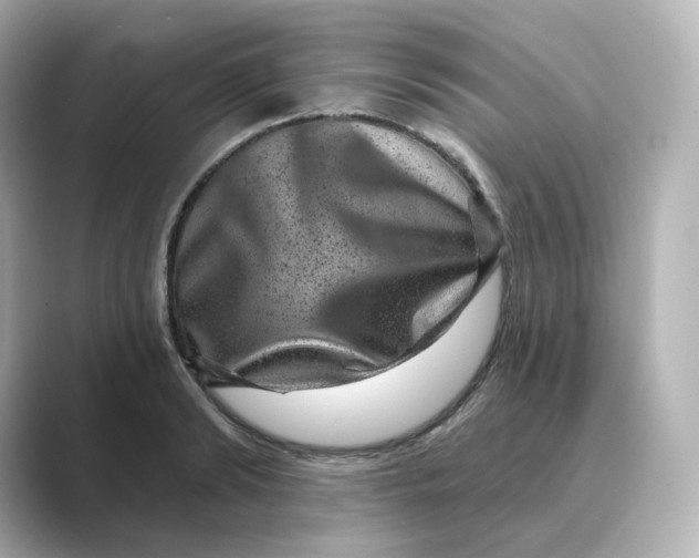 X0000088730894200706212037