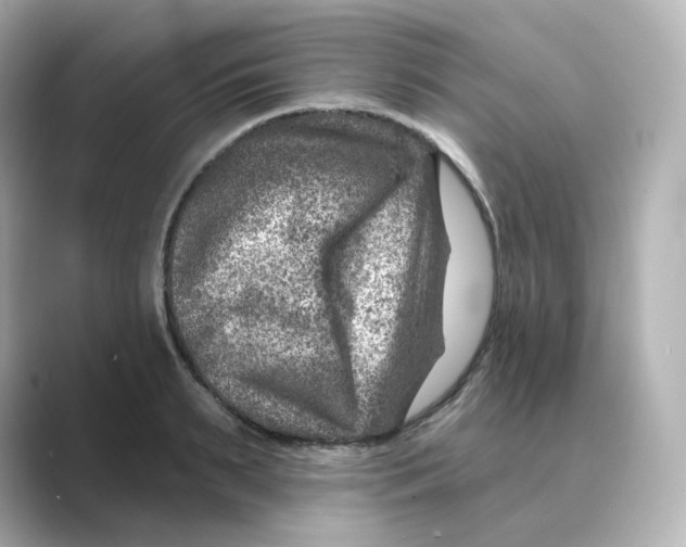 X0000088730895200706212037