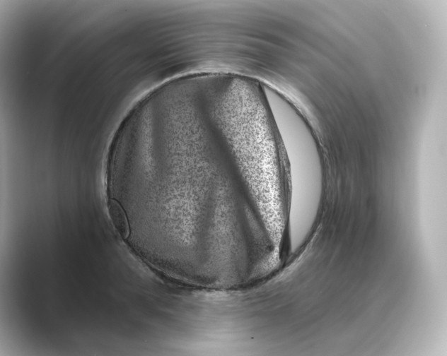 X0000088730896200706212037