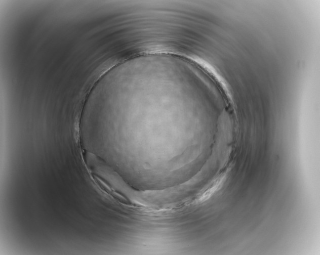 X0000088730897200706212037