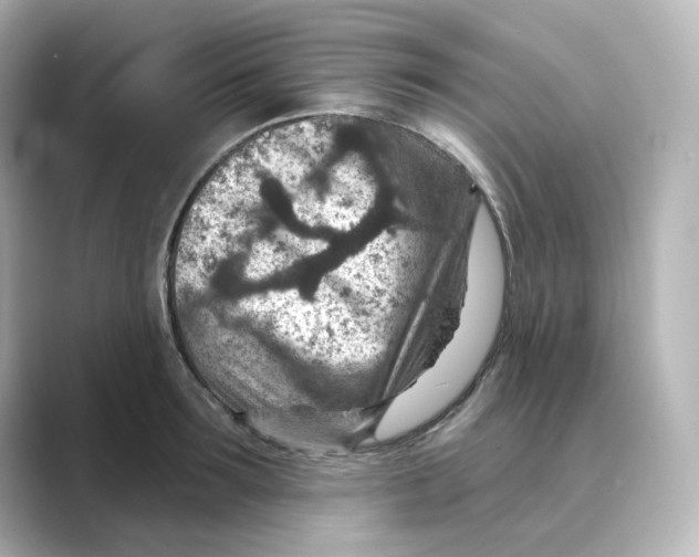 X0000088730899200706212037