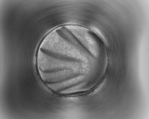 X0000088730900200706212037