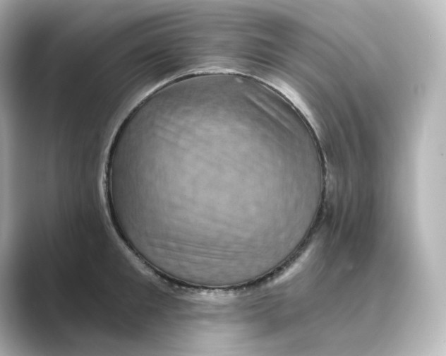 X0000088730901200706212037