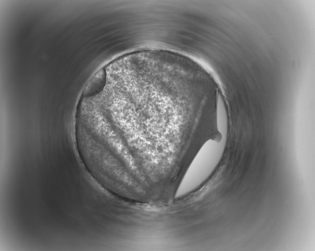 X0000088730903200706212037