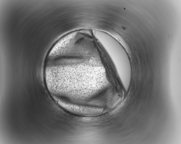 X0000088730904200706212037