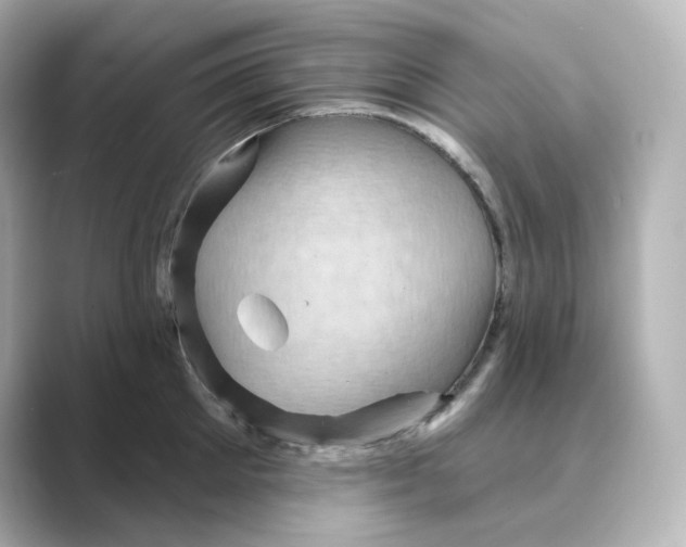 X0000088730905200706212037