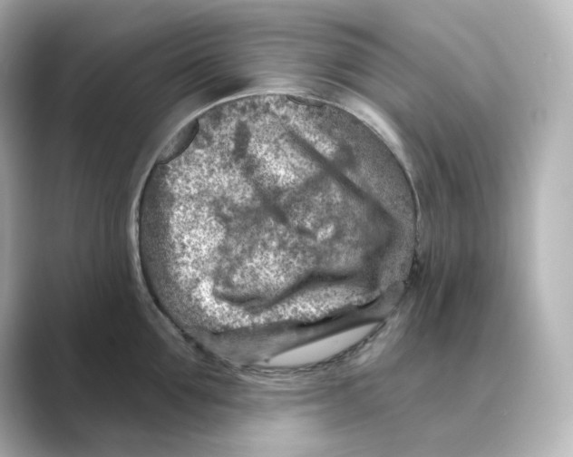 X0000088730907200706212037