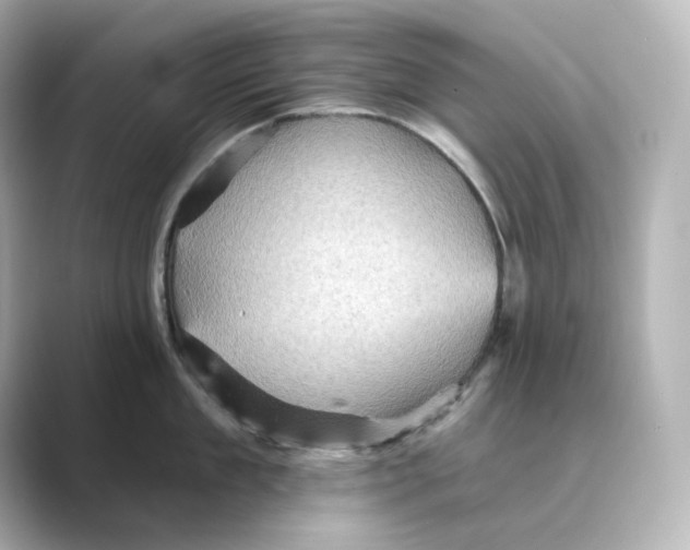 X0000088730909200706212037