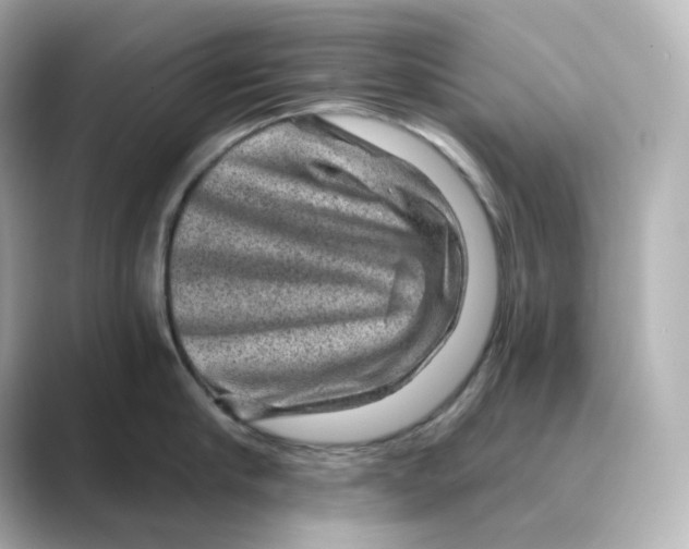 X0000088730910200706212037