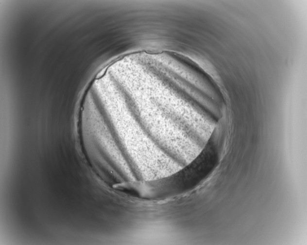 X0000088730912200706212036