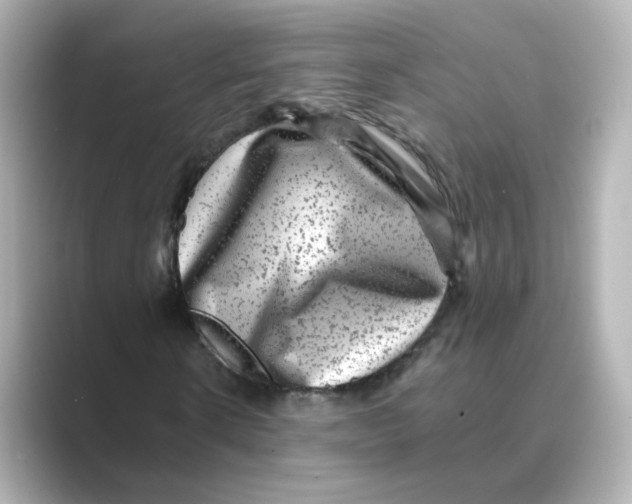 X0000088730914200706212036