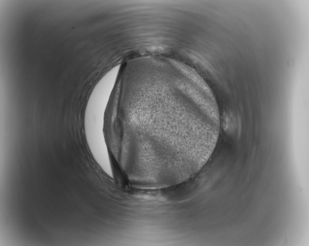 X0000088730915200706212036