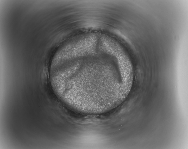 X0000088730918200706212036