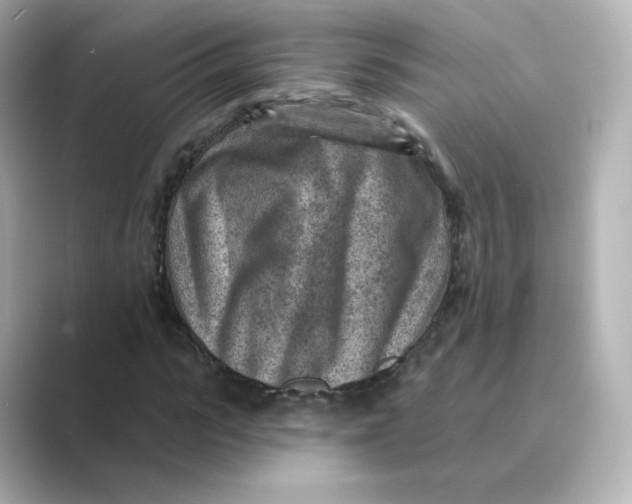 X0000088730919200706212036