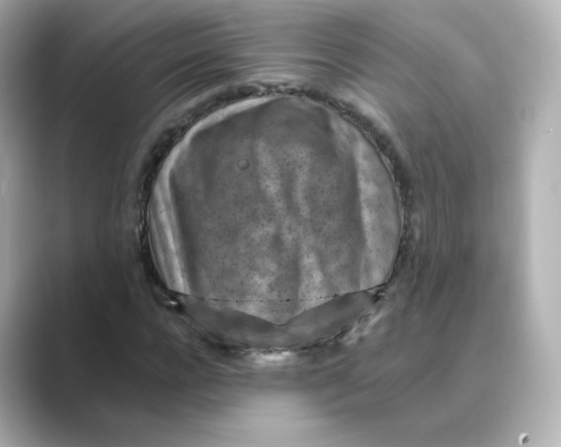 X0000088730920200706212036