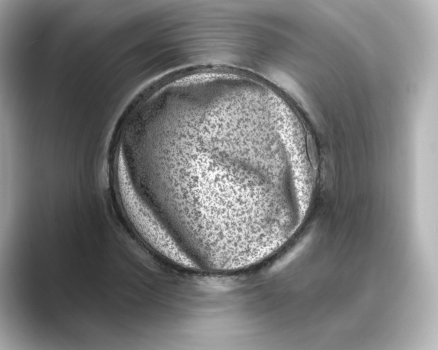 X0000088730924200706212036