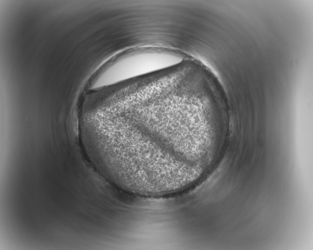 X0000088730925200706212036