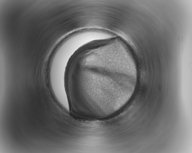 X0000088730926200706212036