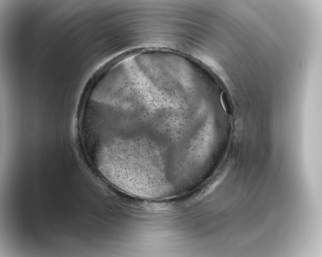 X0000088730928200706212036